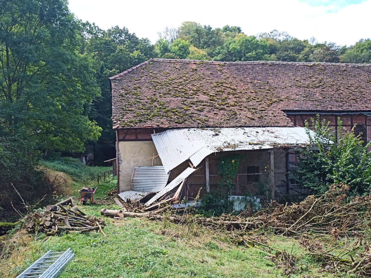 Die Scheune mit Hühnerauslauf - jetzt ohne Baum