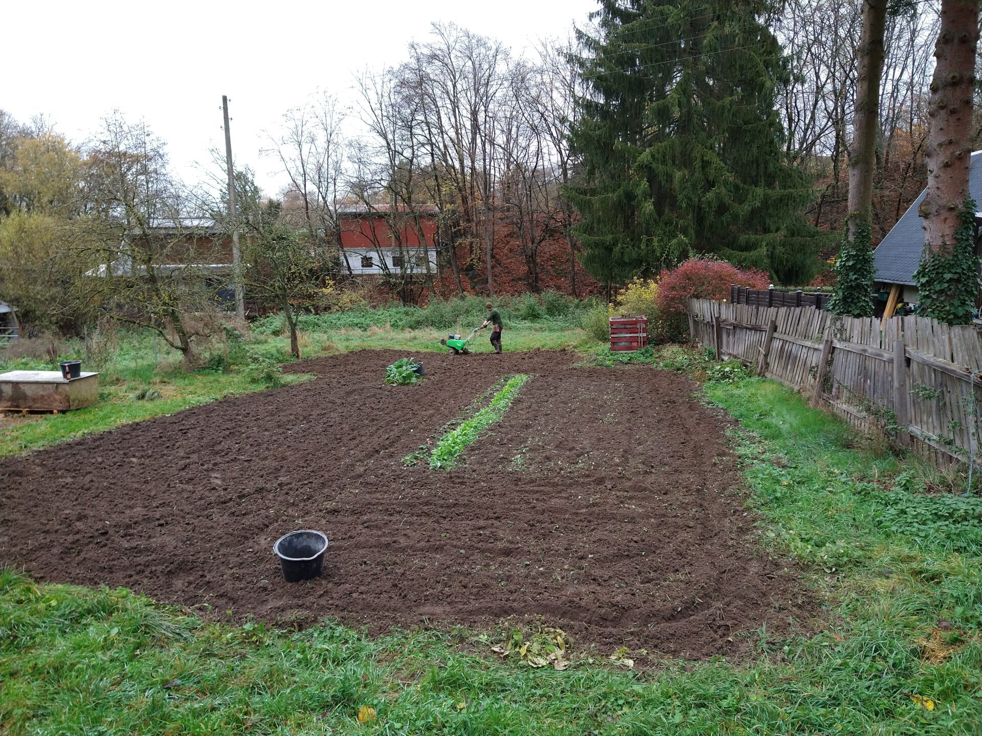 Beet anlegen mit der Motorhacke: Beitragsbild