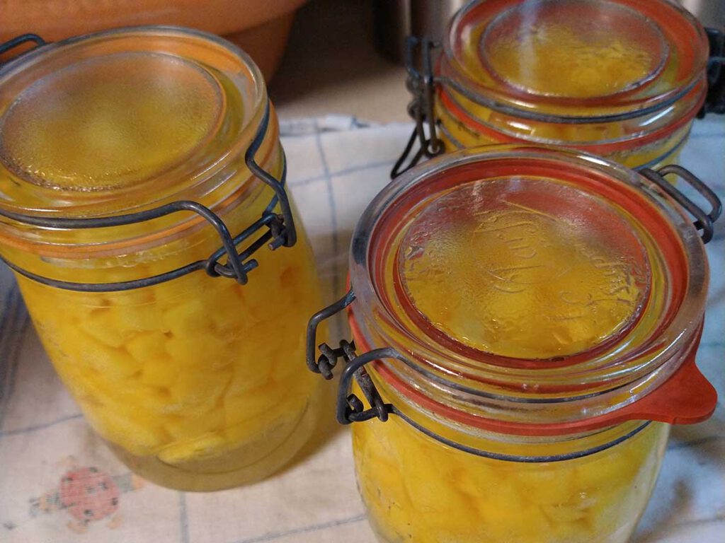 3 große Einkochgläser mit Bügelverschluss und Gummidichtung füllen das gesamte Bild aus. Sie stehen auf einem Geschirrtuch und beinhalten Gelborangenen Kürbis.