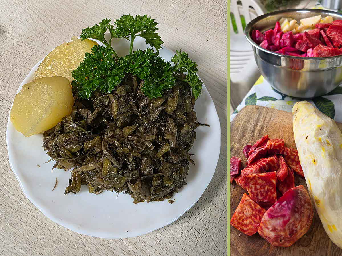 Das Bild hat eine Unterteilung von zwei Dritteln zu einem Drittel. Im linken Bereich von 2 Dritteln ist ein Teller zu sehen, darauf liegen zwei Kartoffeln, ein Zweig Petersilie und ein bräunliches Gemüse, wobei es sich um die Rüben von Mangold handelt. Im rechten Bereich, welcher ein Drittel der Bildbreite umfasst. sind die Rüben im rohen Zustand zu sehen. Sie sind leuchten rot und eine hellgelbe Rübe ist auch dabei.